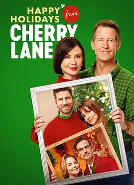 第二次落日电影封面
